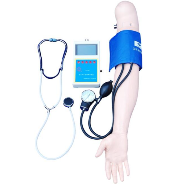 Blood Pressure Training Arm