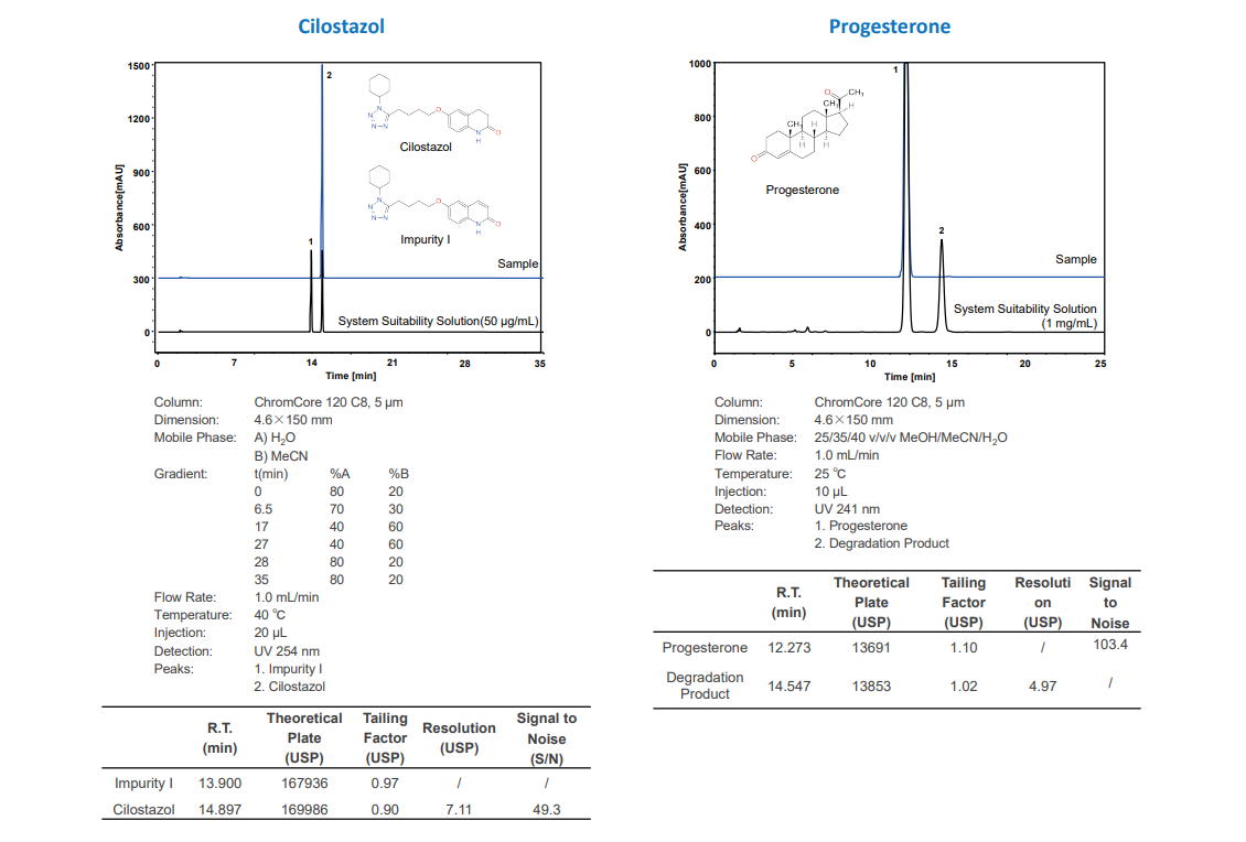 HPLC Column 120 C8 in Bangladesh